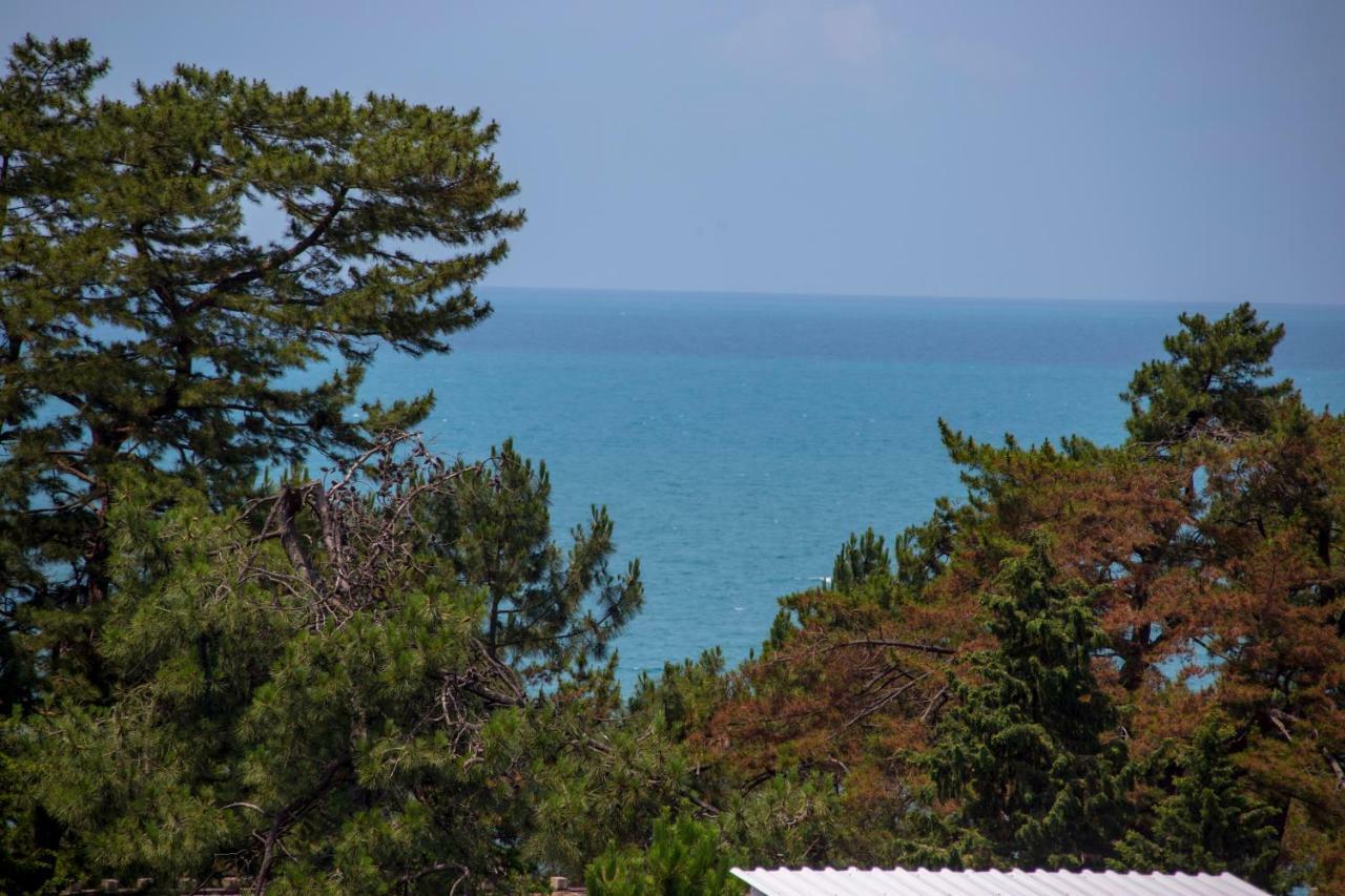 Chveni Ezo Boutique Hotel Kobuleti Eksteriør bilde